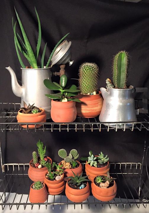 11059910_942874329089599_9137408576134965544_n