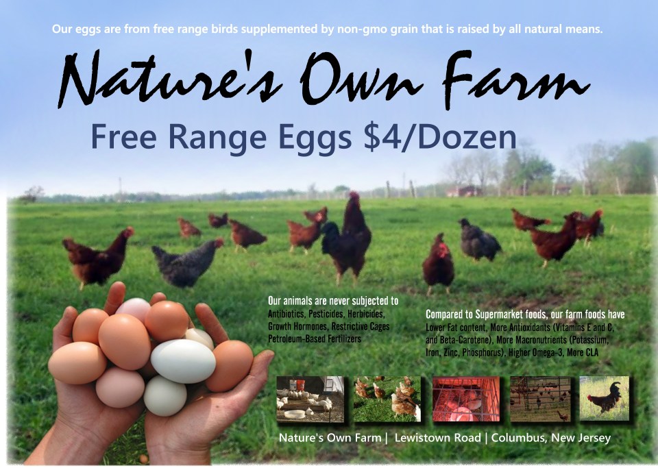 Nature's Own Poster 18 by 27