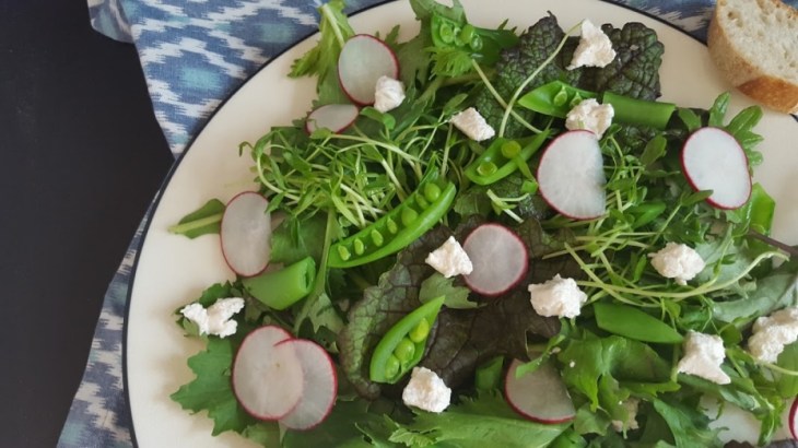 Christine Sugar Snap Salad