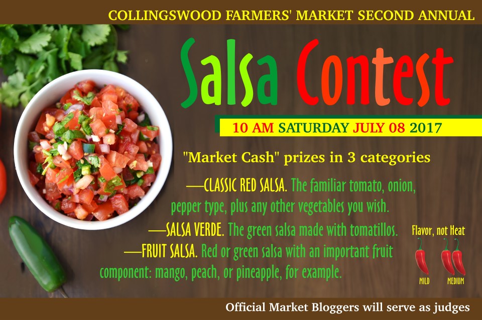 Salsa Contest 2017