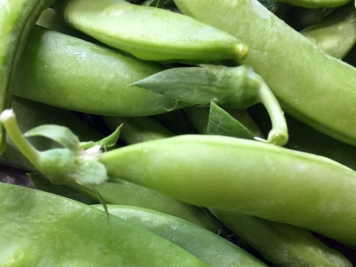 Susan Snap Peas