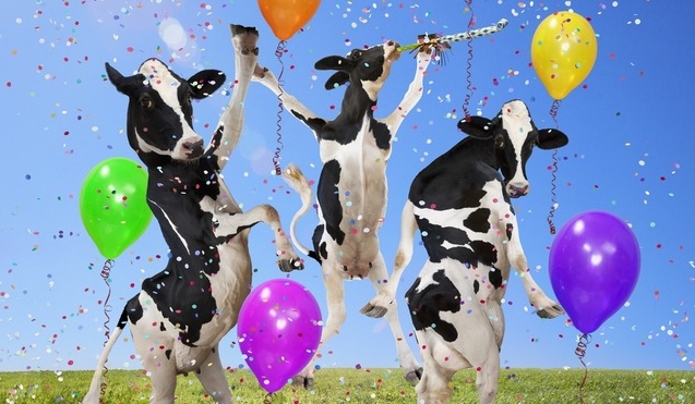 PartyCows