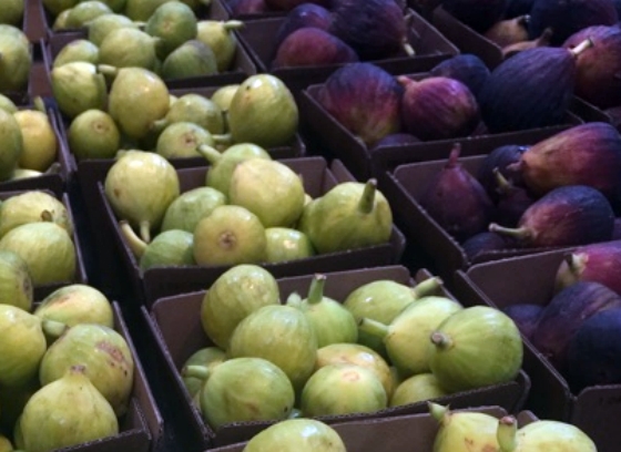 Green Figs
