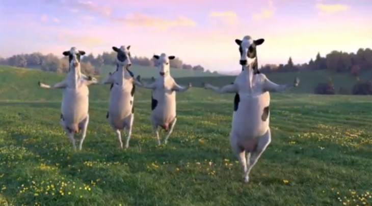 Dancing Cows