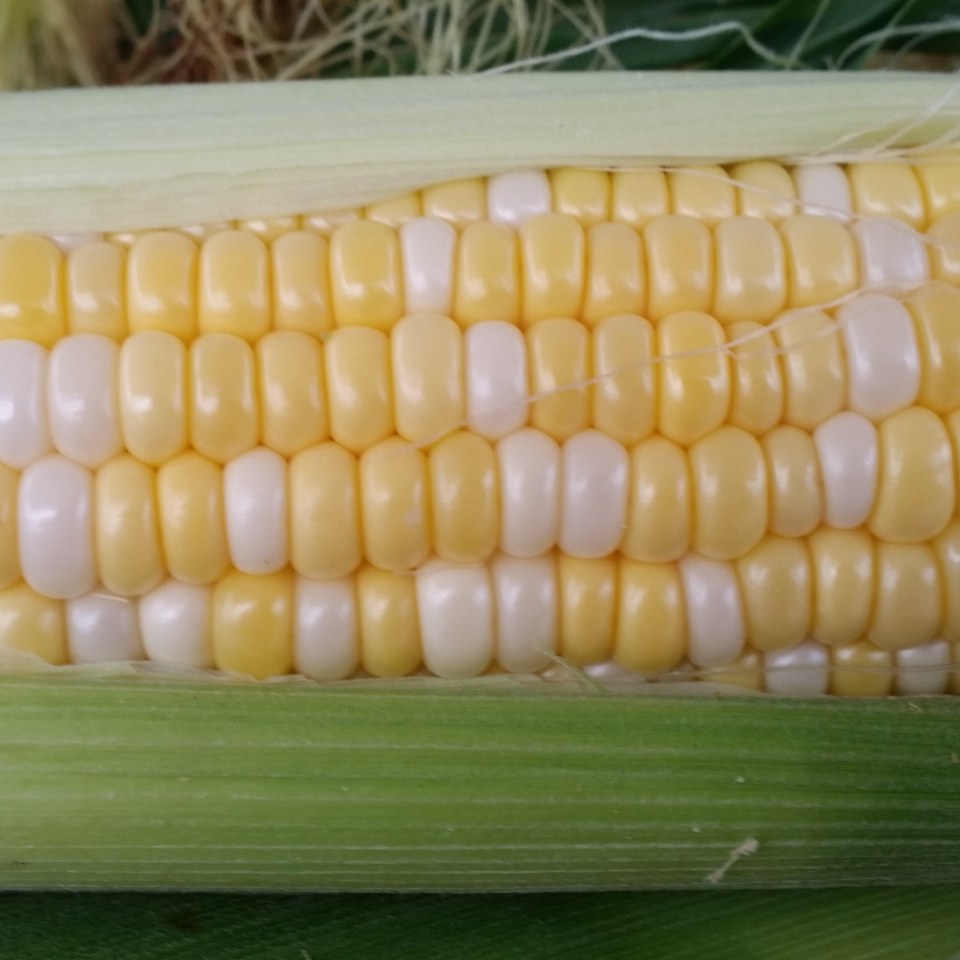 IMG_20180901_073809_866