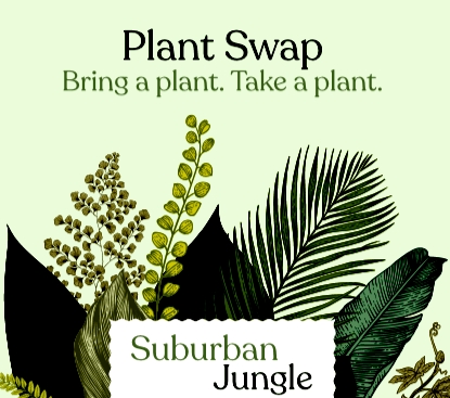 Suburban Jungle