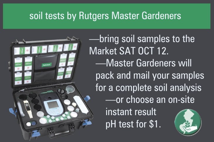 Soil Tests