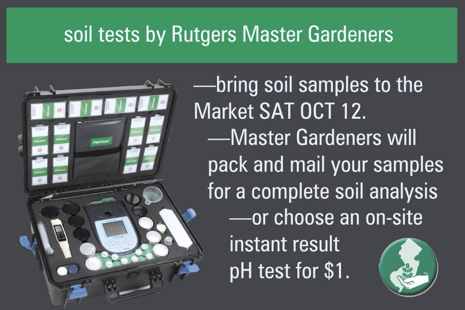 Soil Tests