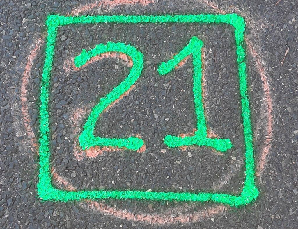 This image has an empty alt attribute; its file name is 21.jpg